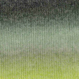 Scheepjes Stone Washed Flow (Sport)