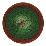 * NEW * Scheepjes Cotton Whirl