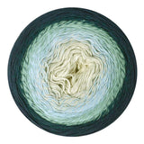 * NEW * Scheepjes Cotton Whirl