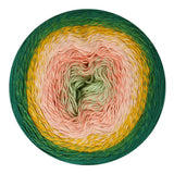 * NEW * Scheepjes Cotton Whirl