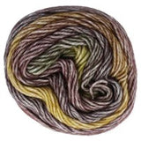 Scheepjes Stone Washed Flow (Sport)